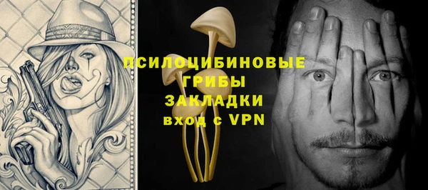ПСИЛОЦИБИНОВЫЕ ГРИБЫ Пересвет